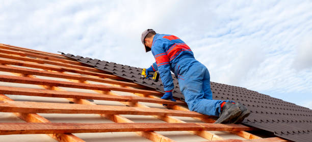 Best Asphalt Shingles Roofing  in Westwood, KY